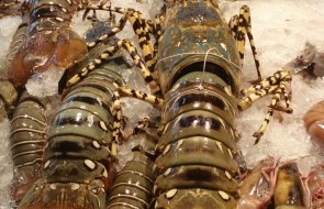 fruit de mer
