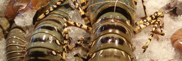 fruit de mer
