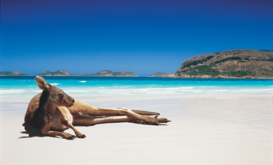 plages australiennes