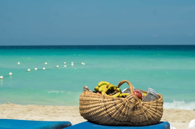 Sea Holiday Basket Vacation Fruits Holidays